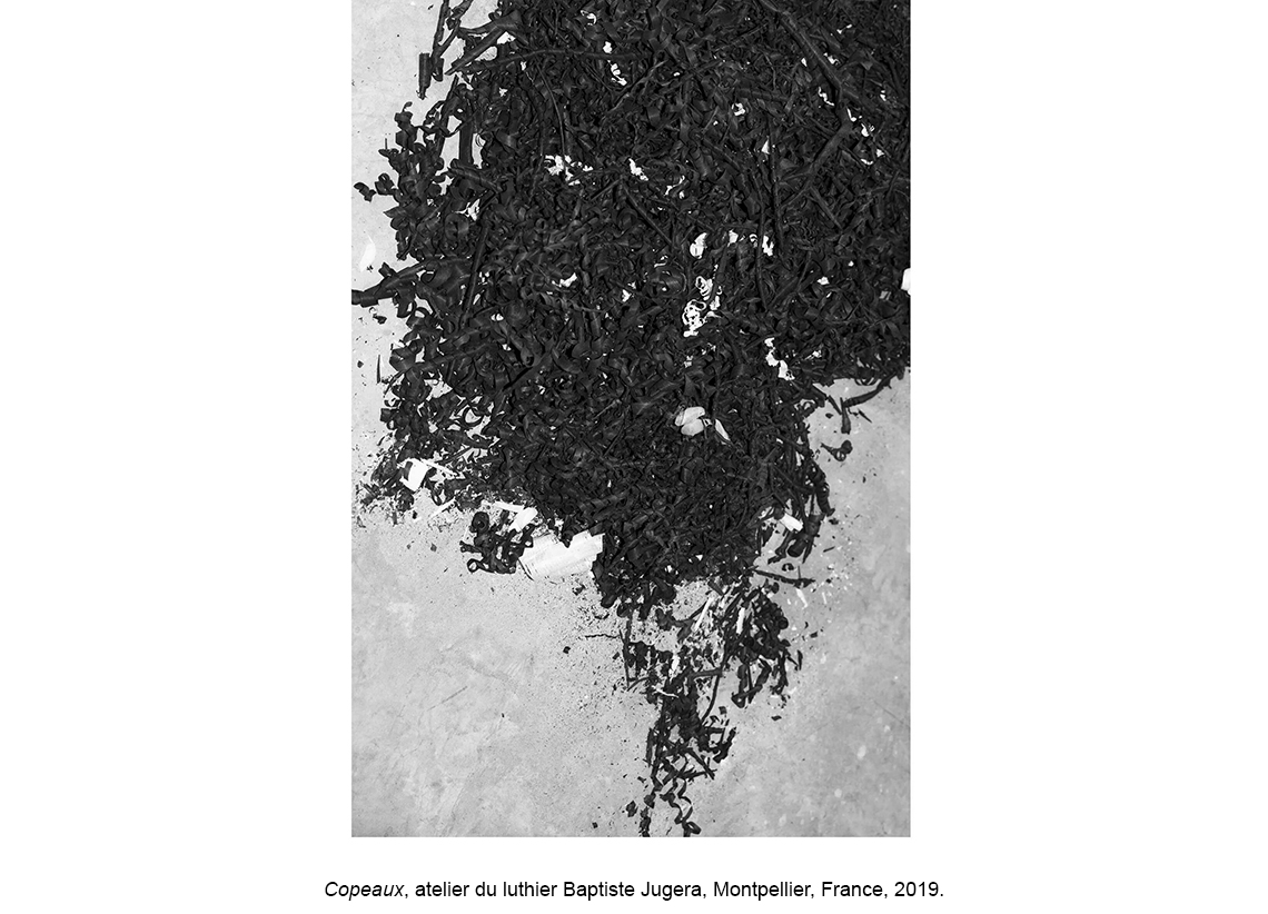 La forêt des violons