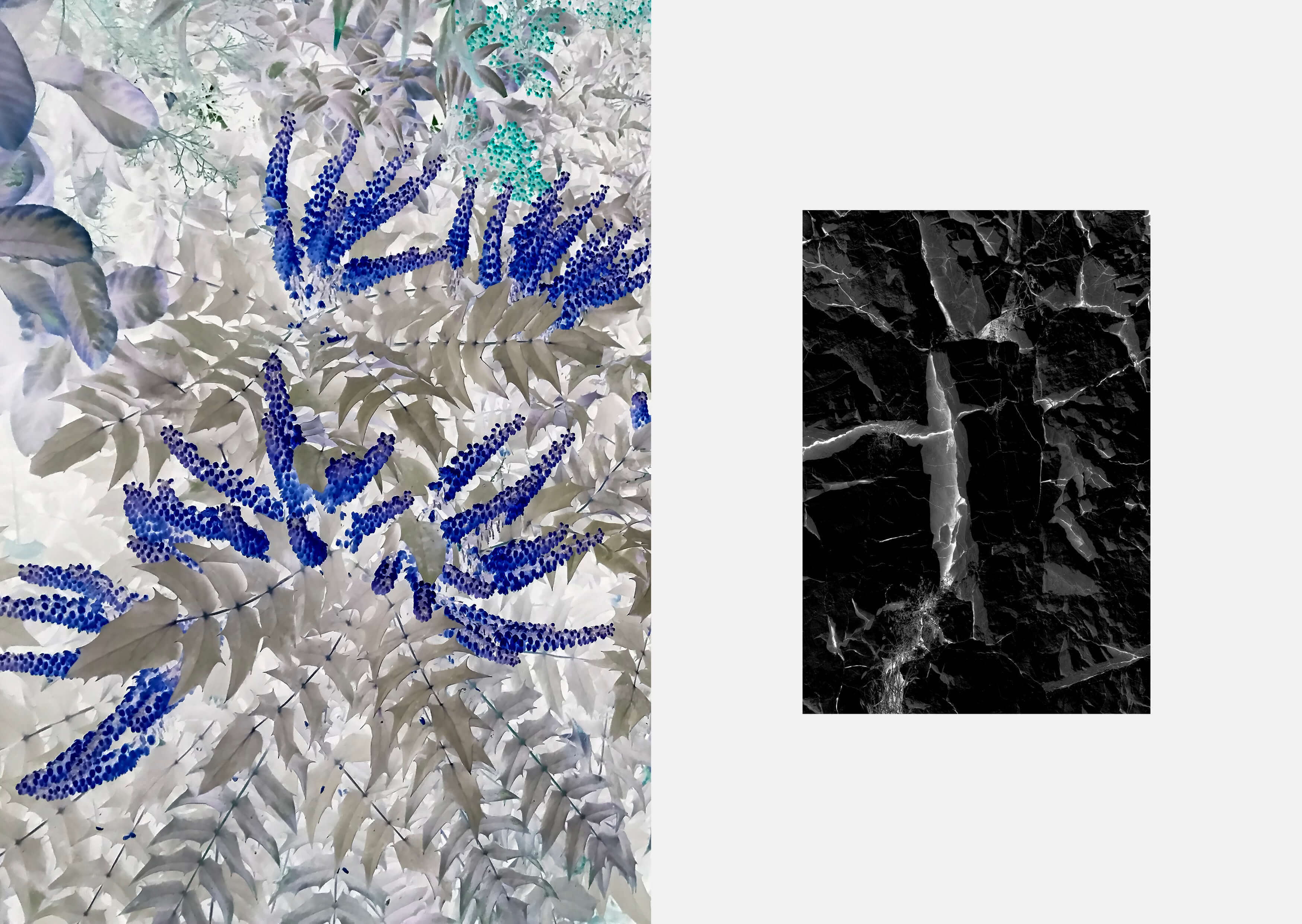 Pareidolies