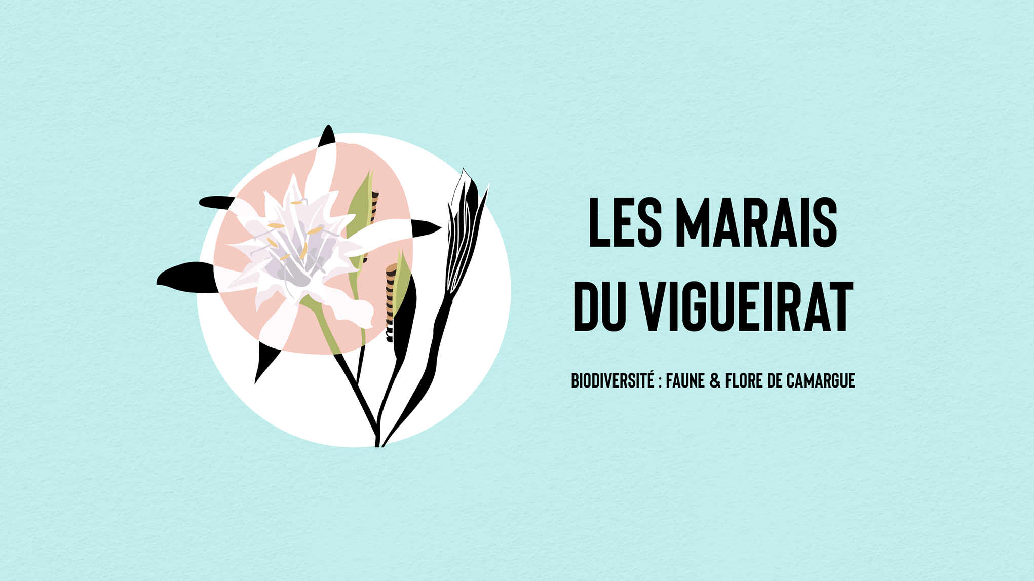 Affiches