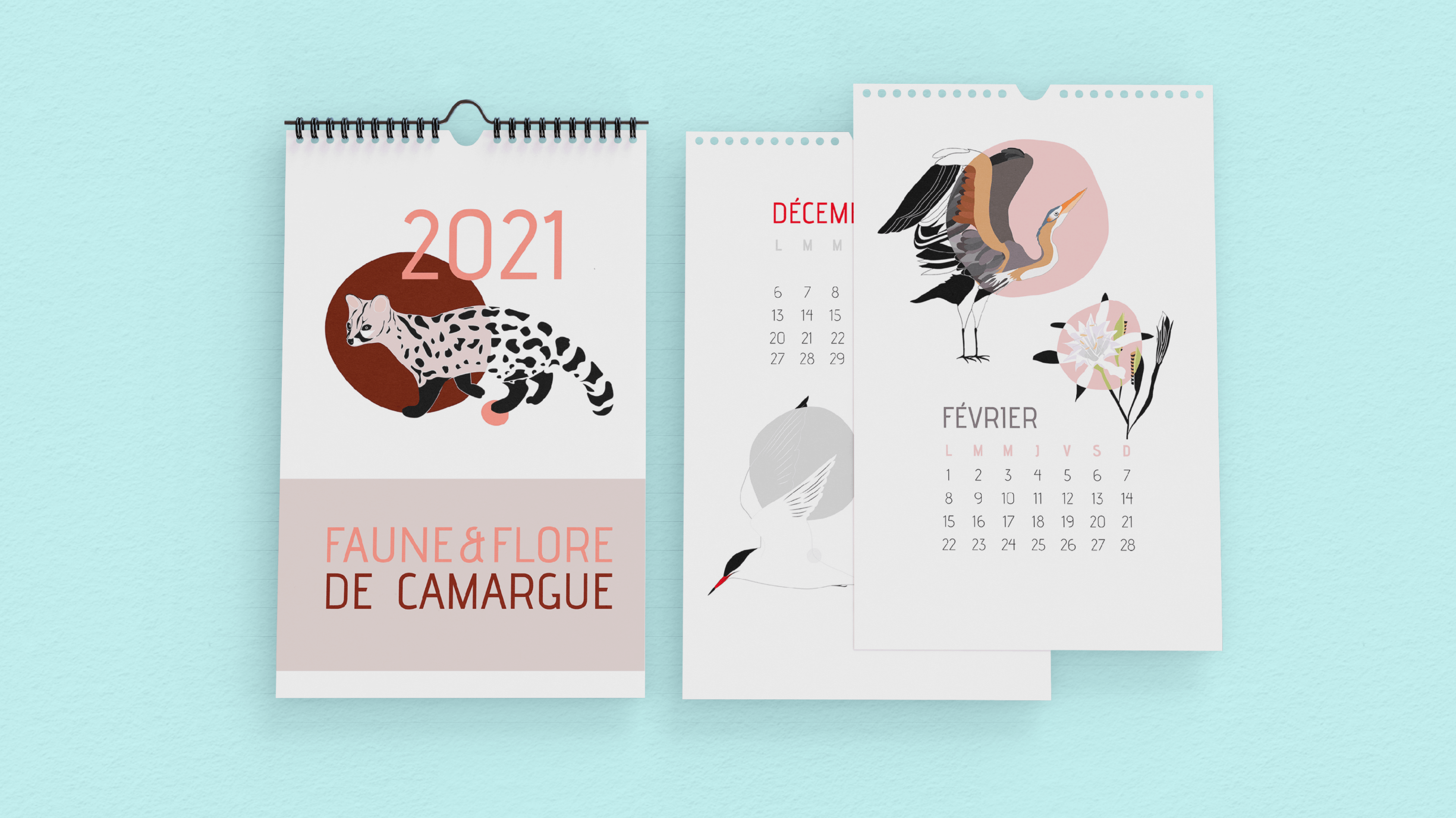 Affiches
